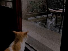 -韬光茶庵