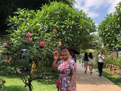 -南宁南湖公园