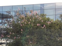 -重庆江北国际机场-T2航站楼