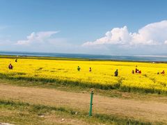 -青海湖国家重点风景名胜区