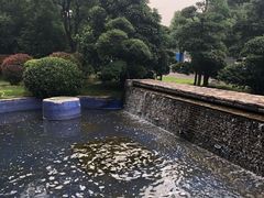 -徐州博顿温德姆酒店(高铁东站店)