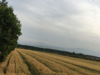 眉县马家镇初级中学