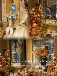 -迈瑞米求婚策划(静安店)