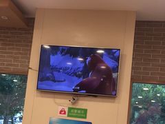 -德克士(魏县店)
