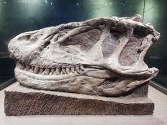 -自贡恐龙博物馆