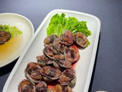 血蛤-高佳庄·海鲜酒楼(东港店)