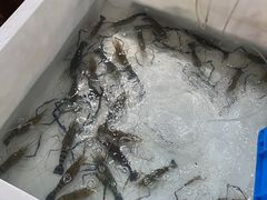 -旺山·浪头人家