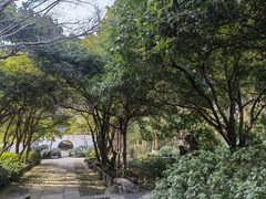 -岳王庙