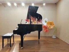 -珠江钢琴艺术中心(文一路店)