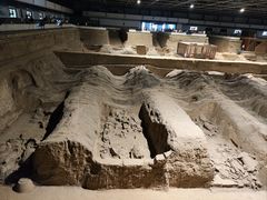 -秦始皇帝陵博物院(兵马俑)