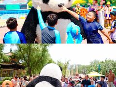 -欢乐水魔方水世界