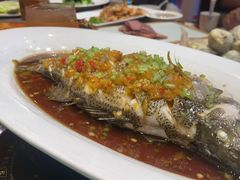 -秦三驴(云飞街店)