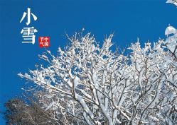-安吉拉青春化管理中心