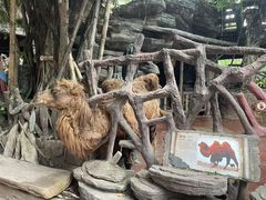 -长鹿旅游休博园