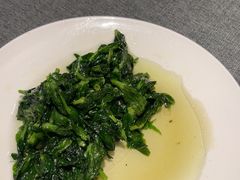 -新吉士·上海菜(浦东LCM置汇旭辉店)