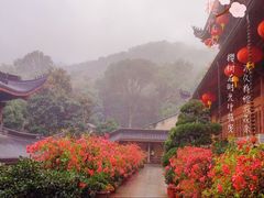 -杭州上天竺法喜讲寺
