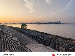 -上海滨江森林公园