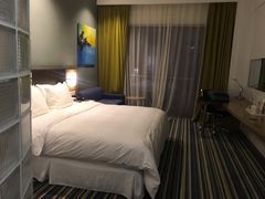 -都江堰中心国际酒店