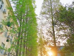 -同济大学(沪西校区)