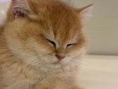 -贵凤凰贵州米粉(望京店)