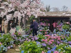 -HERRE·FARM 赫尔露营农场·团建聚会包场