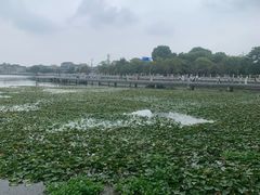 -鸣鹤古镇