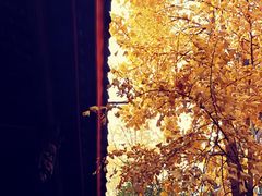 -平安桥天主教堂