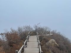 -大岭沟猕猴桃谷风景区