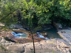 -广州白江湖森林公园