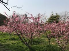 -白马涧龙池景区