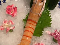 -Mr.Fish鱼鲜生海鲜放题(高德置地冬广场店)