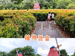 -东莞植物园