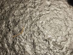 -盛江山自助料理(奥莱锦辉购物广场店)