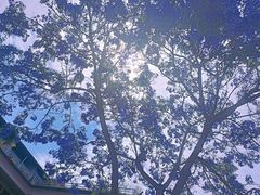 -南屏步行街