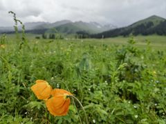 -新疆那拉提国家旅游度假区