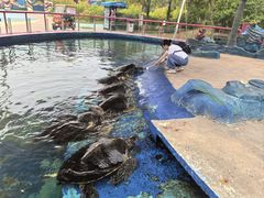 -北戴河圣蓝海洋公园