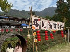 -塔川景区