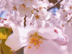-闵行体育公园(七宝镇)