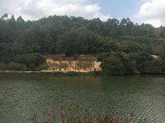 -南国桃园旅游度假区