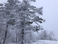 -亚布力新体委滑雪场