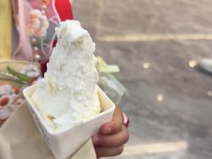 -野人先生现做冰淇淋(西安赛格店)