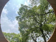 -上海鲜花港