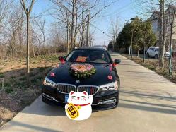 -蚂蚁婚车