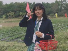 -广东茂名森林公园