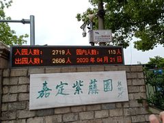 -嘉定紫藤园