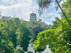 -深圳国际园林花卉博览园