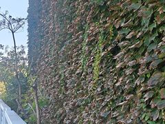 -鸿山遗址博物馆