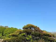-沈阳植物园