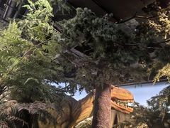 -浙江自然博物院(杭州馆)
