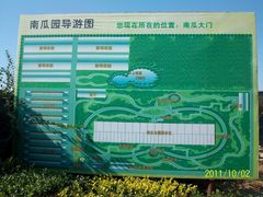 北京观光南瓜园-观光南瓜园